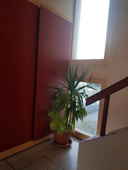 Superbe Appartement En Residence Prive Avec Un Parking Prive Scionzier Dış mekan fotoğraf