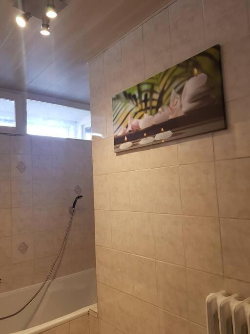 Superbe Appartement En Residence Prive Avec Un Parking Prive Scionzier Dış mekan fotoğraf